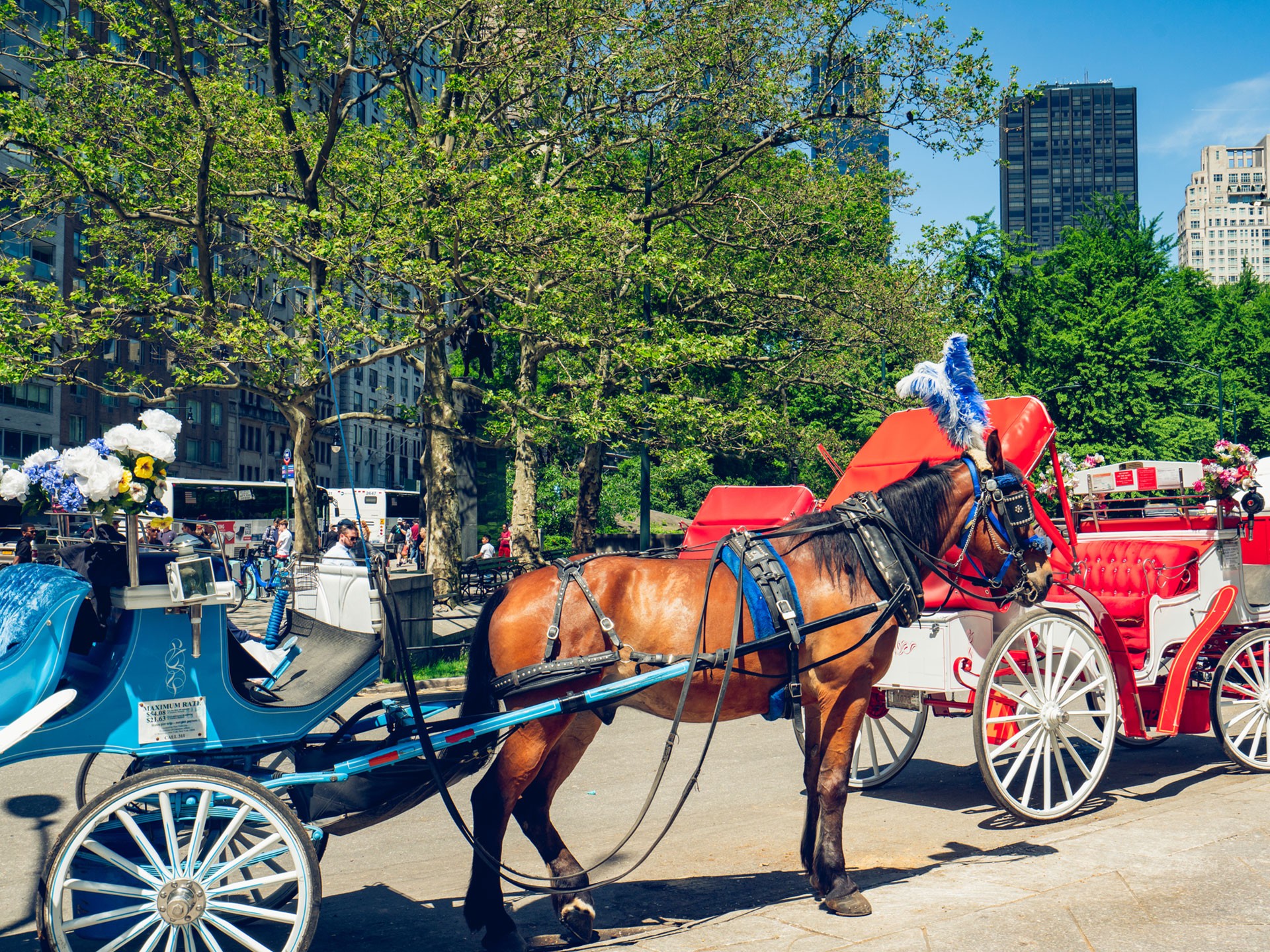 NYC in Spring — Cherry Blossoms &amp; What to Do