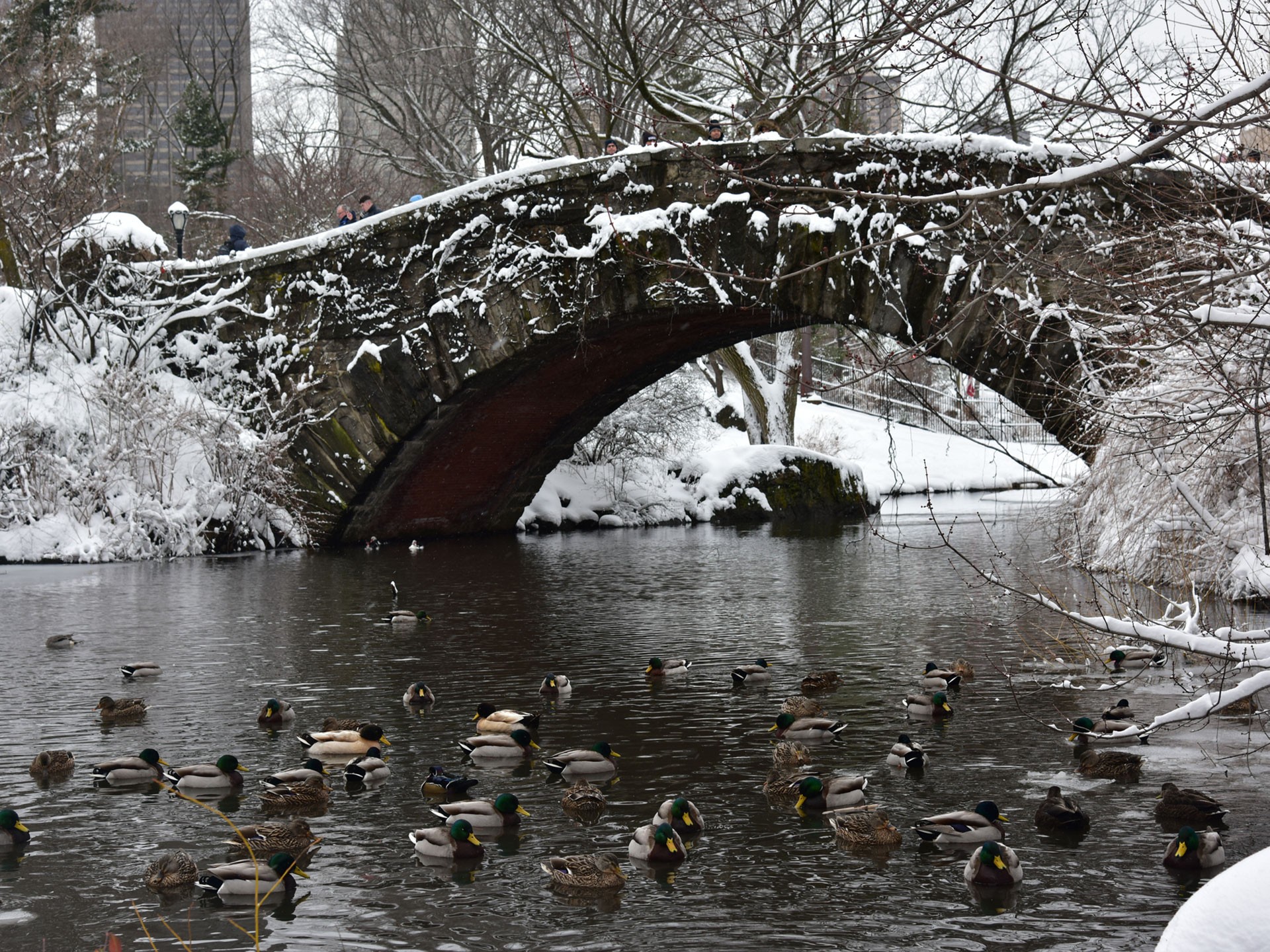 NYC in Winter — Snow, Ice Skating &amp; Holiday Magic